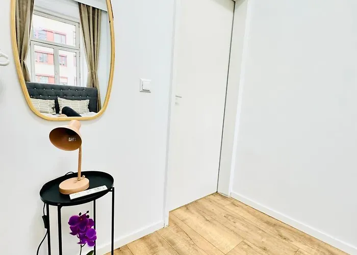 Cozy Private In 9-bedroom Near Augarten Apartment